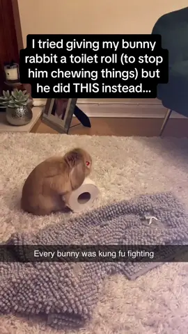 This felt very personal 🧻🐇 #Pubity (Via: @ViralHog)