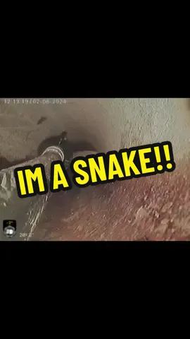 Im a SNAKE!  #plumbing #draincleaning #sewage #fail #doitbold #russia🇷🇺 #plumber #flood #bluecollarboys 