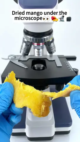 Would you dare to eat mango magnified 400 times?#microscope 