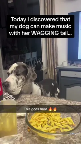 Doggo’s owner has the right idea 💃🤣 #Pubity (Via: @ViralHog)