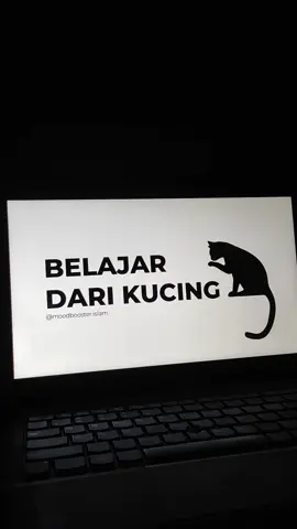 Belajar dari kucing.... 