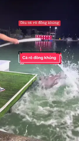 Cá rô đồng khủng #越南抖音钓鱼人 #钓鱼人 #câu_tay #câuđài #được_đi_câu_cá #câu_và_khám_phá #cá_lạ 