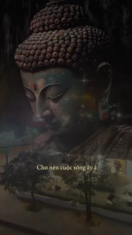 Hi vọng càng nhiều thì thất vọng càng lớn. #phatphapnhiemmau095 #phatgiao #phatphap #tamtrang #ngam 