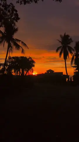 Karim me go bek 🥺🌇 #fypシ゚viral #sunset #pngsunsets🇵🇬 #seanriisong #pomsunsets #originalsound #pngtiktok #675babylessgo🇵🇬🇵🇬💯 