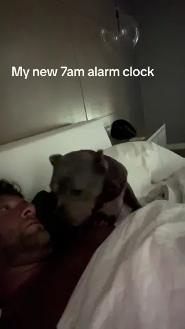 Miss Peaches says its time to get up