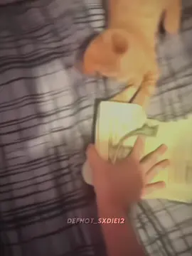 MONEYSS ALL I NEED NEED #money #moneyedit #moneyedits #moneycat #cat #catedit #catedits #cats #dollars #dollar #dollarbills #velocity #velocityedit #velocityedits #flash #colorful #zoom #zooms #capcut #edit #edits #moneymoneygreengreen #moneysallineed #xyzbca #parati #paratiedit #tiktok #fyp #foryoupage #foryourpage #foryoupageofficiall #foryou #fy #fyy #fypage #fypagee #fypシ゚viral #fypviral #fypp #fyppppppppppppppppppppppp #fypシ 