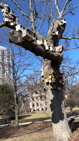 This Henry Selick looking bird apartment complex in Chicago. 