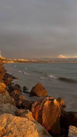 من يوم بطلت الغبا وصح صرت احسبا من يوم بطلت الغبا وصح صرت احسبا طلعوا اللي عاطيهم روحي مابيستاهلوا المرحبا اذا فيك تغسل المي اغسلها قبل ماتشرب ولا توثق بكائن حي اكترهم جواتو عقرب#أنس_كريم#مابيستاهلوا_المرحبا #fypシ #fyp #viral #explor #foryoupagee #explorepageready #اذا_فيك_تغسل_المي_اغسلها_قبل_ماتشرب #لاتوثق_بكائن_حي_اكثرهم_جواتو_عقرب #لبنان_سوريا_فلسطين_مصر_الخليج_العربي❤ #مصر_السعوديه_العراق_فلسطين #المغرب🇲🇦تونس🇹🇳الجزائر🇩🇿 #تركيا🇹🇷اسطنبول #طرابلس_ليبيا #الكويت_مصر_السعودية_سوريا_الامارت #حالات_واتس2021 #فيديوهاتي_تصاميمي🎶🎬 #صور_الجنوب🇱🇧 #بحر 