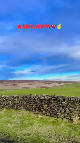 Somewhere in ilkley moor #fypシ゚viral🖤tiktok☆♡🦋myvideo #exploruk❤️✌️🇬🇧 #trendingsong #peacefullife 