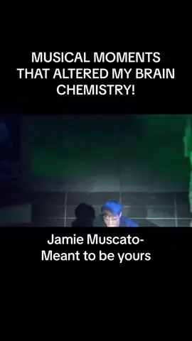 Ugh! What a moment! #foryoupage #fyp #musicals #heathers #heathersthemusical #jamiemuscato 