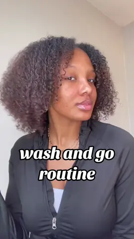 obviously i had to give yall a quick lil wash n go tutorial since it’s my go-to natural hairstyle 🤭 #naturalhair #naturalhairstyles #washngoroutine #naturalhairtutorial #washandgo #patternbeauty #mielleorganics #k18 #josiemaran 