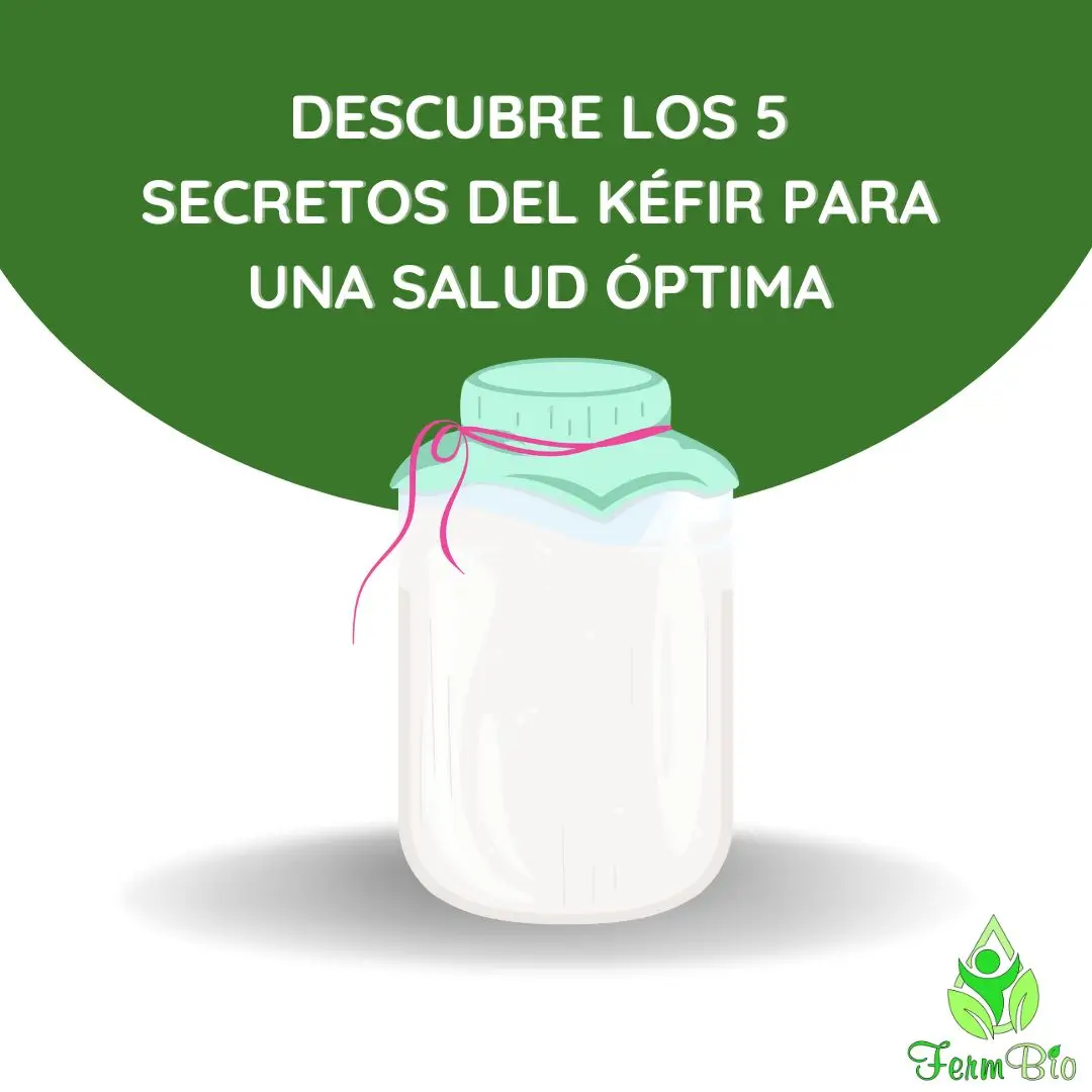 Conoce los beneficios del kefir para nuestra salud #alimentossaludables #microbiotaintestinal #microbiota #salud #kombucha #fermentacion #probiotico #probioticos #kefir #probiotic #saludable 