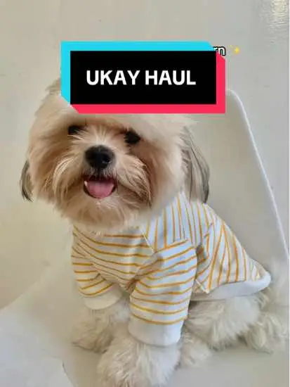 #dogsoftiktok #fyp #dogclothes #fypシ  @Furry Tales Pet Shop 🐾