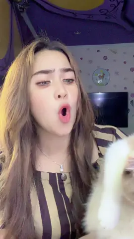 Gemmes 🤏😹😻#kucing#anabulkesayangan#kucingkusayang#kucinggemoy#gemoy#catlover#sayangkucing#fyp#catfunny#catlover#kucinglucu#tiktok 