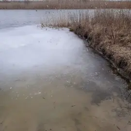 #Риба #зариблення  #підпишись 