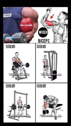 How to get bigger bicesp !