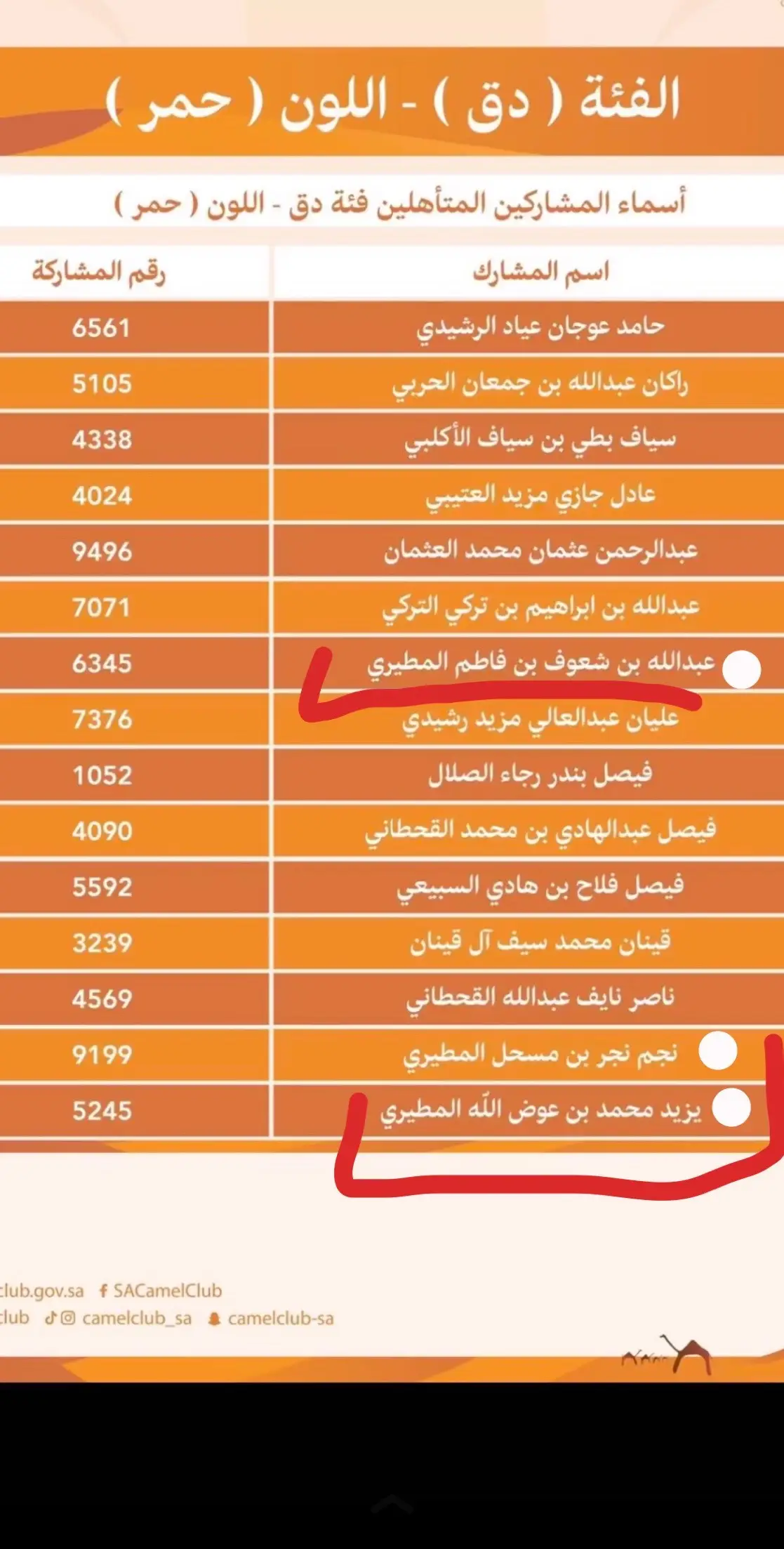 #مناحي_نداء_بن_عشوان🔥🔥 #مزاين_الابل #جادة_الابل 