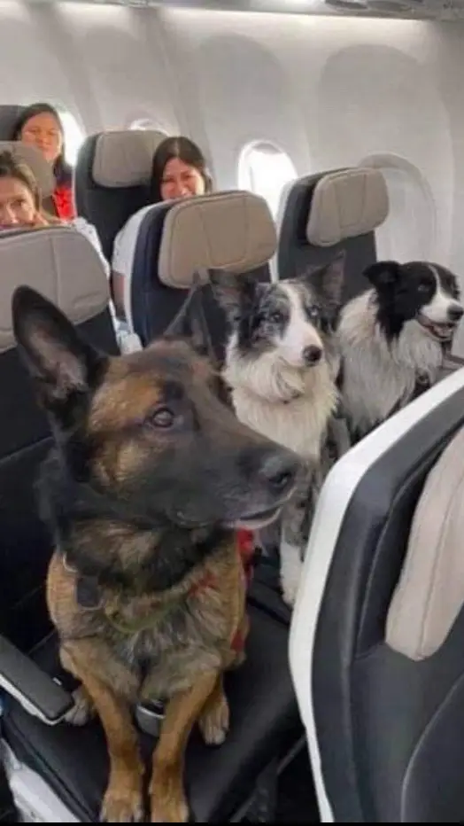 This was the flight attendant's favorite row of passengers on the plane! 🚀❤️