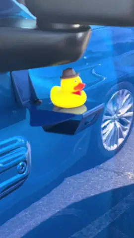 #jeepducking #jeep #jeeplife 