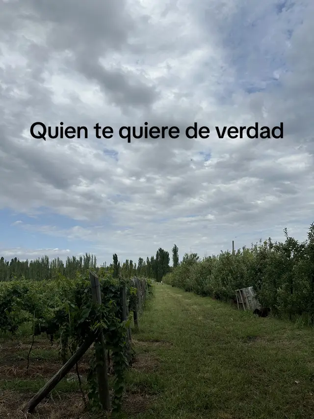 🤍 #factos #amor #amistad #frases #parati 