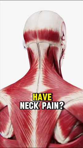 How to fix neck pain. 
