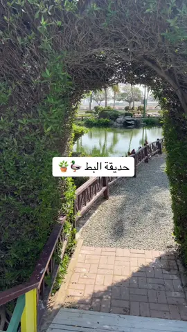 تهبلل بالطبيعه 🪴🌱🍀🪿🦆 #اماكن_ينبع #fypシ #اكسبلورexplore 