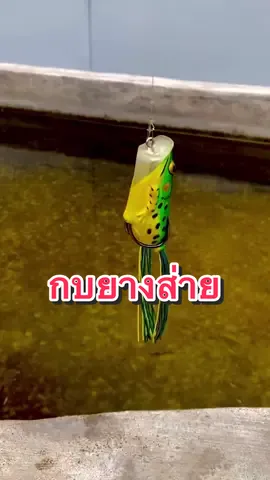 กบยางส่าย ส่่ายๆ เลื้อยๆ #กบยาง #เหยื่อกบยาง #เหยื่อปลอม #กบส่าย 