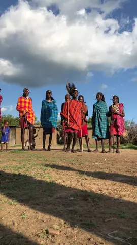 Maasai dancing in Masai Mara Kenya #maasai #maasaimara #maasaimusic #maasai_mara_sightings #maasaitribe #maasaikenya #kenyamara#maasai #maasaitiktokers #maasaisongs #maasaimara 