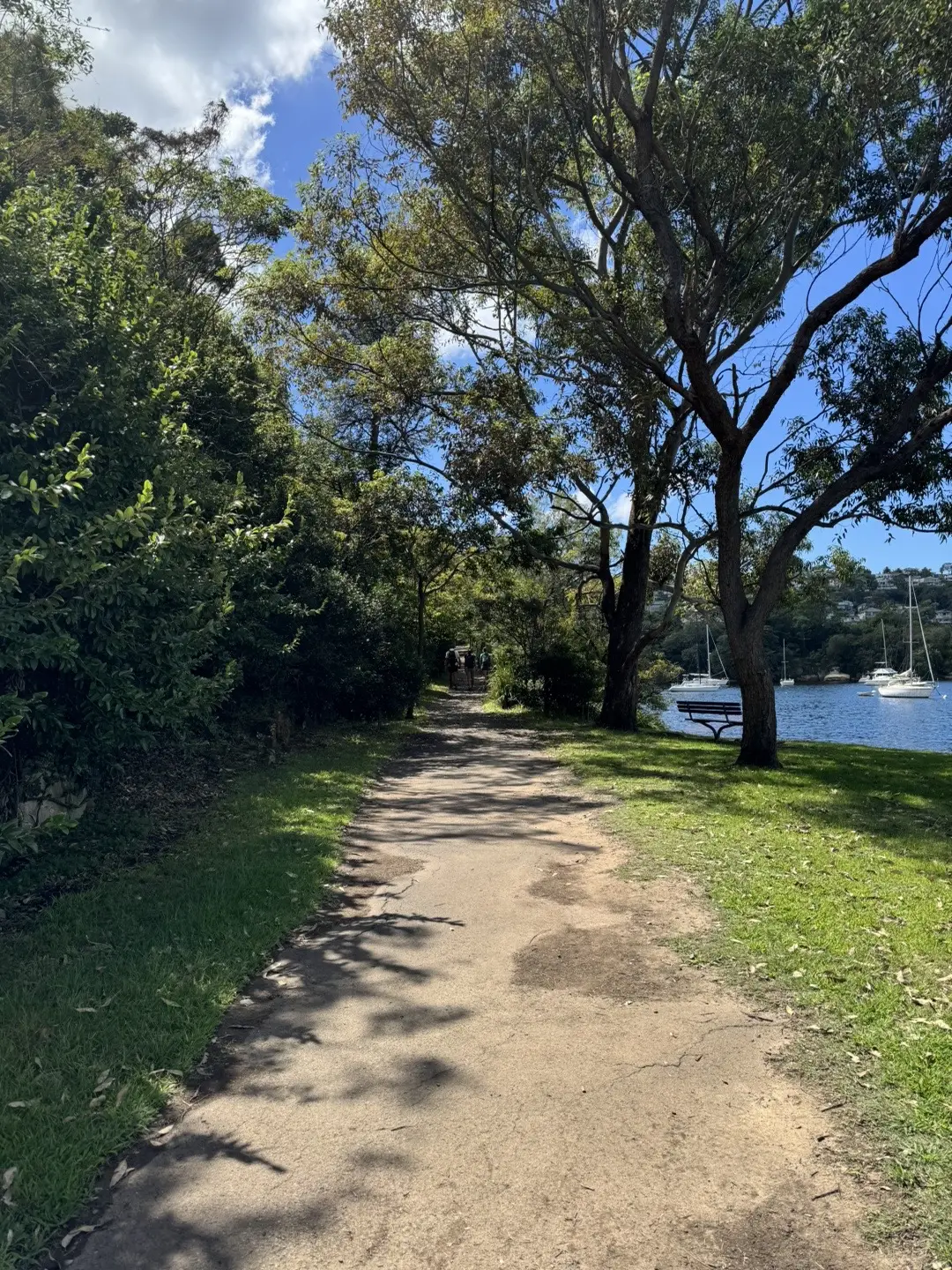 pictures from our 10km spit to manly walk 🩵☀️🏝️🗺️