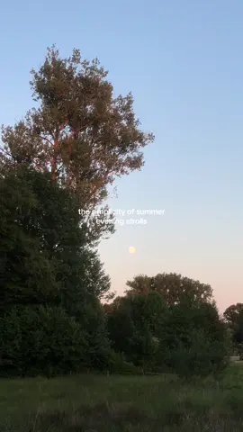 every evening #nature #naturetok #moon #calmtok #spiritualtiktok 