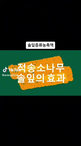 솔잎농축액 