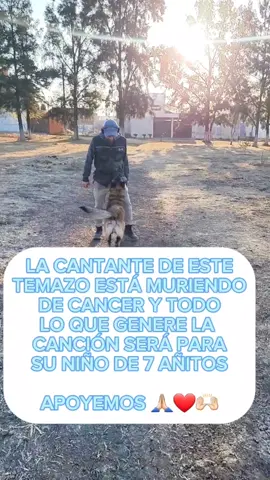 Cat Janice, mi tropa y yo te apoyamos y mandamos la mejor de las vibras para ti y tu familia 🙌🏻❤️ #perros #educacioncanina #entrenamientocanino #canecorso #pastorbelgamalinois 