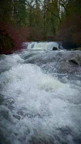 Nature's juxtaposition at its finest, where chaos meets tranquility in a symphony of sight and sound 😍 #waterfalls #waterfall #river #riverscape #riverrapids #djimini3pro #naturesbeauty #oregonstate #pnwroaming 