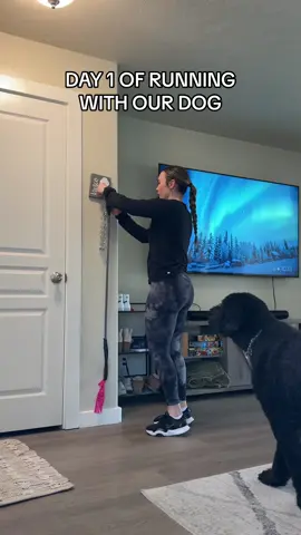 Day 1 of trying to run with our dog, but idk if there will be a day 2🥲  I couldn’t not try in this weather  #day1 #runningworkout #runningdog 