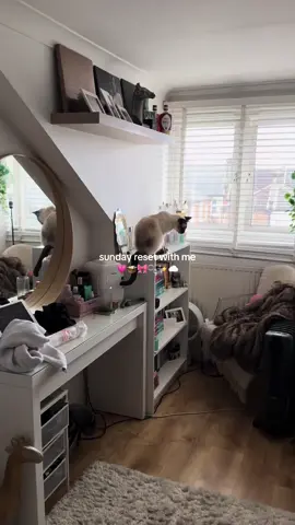 sunday morning reset 🧺☁️ #aesthetic #minivlog #dailyvlog #morningvlog #sundayvlog #sundayreset #sundayroutine #resetwithme #tidytok #CleanTok #resetroutine #aestheticvlog #room #roomdecor #RoomTour #roominspo #roomaesthetic #ditl #morningroutine #fyp #foryou 