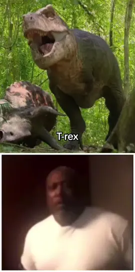 Rankeando dinossauros