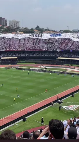 tava lindo😍😍🐳🐳 #sfc #santosfc #torcida #morumbis #peixao 