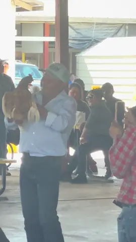 #fyp #TrueLove #sanantoniofleamarket #loco #foryoupage #sanantonio #chicken #puroamor #gallina 