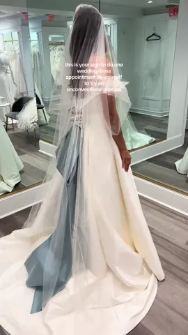 One of the best things that I did during wedding dress shopping was go to an appointment by myself #2024bride #bridetobe #brides #weddingdress #weddingdressphotos #weddinggoals #weddinginspo #weddingdressshopping #bridetok #bridetiktok #weddingtok #weddingtiktok #somethingblue #wedddinggown #weddingday #weddingtiktok #weddingvibes 