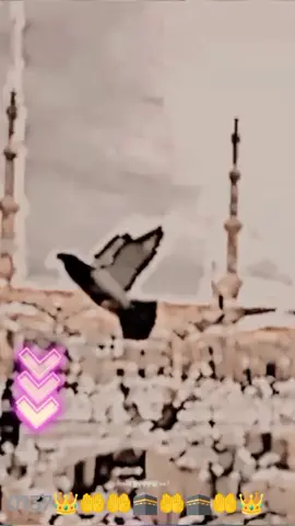@Voicer_Amdadul_10🥺 