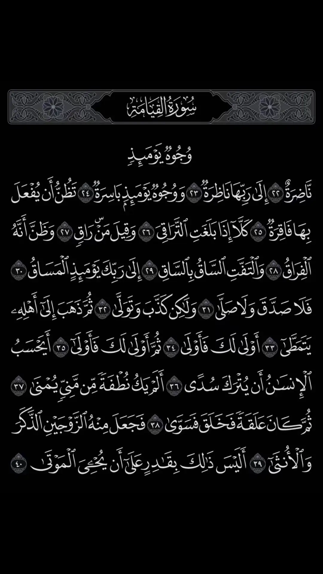 🤍 #قران #عصام_حمود #سورة_القيامة 