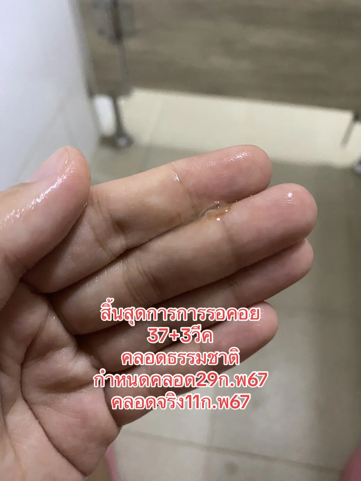 สิ้นสุดการรอคอยของแม่👧🏻🥰#น้องนิลิน กำหนดคลอด29ก.พ67  คลอดจริง11 ก.พ67 ตอนนี้น้องอายุ16วันแล้วค่า ฝากเอ็นดูน้องด้วยนะค่ะพี่ๆ #ลูกสาวคนแรก #ทีมกุมภาพันธ์67❤️ #เด็กนครศรีธรรมราช 