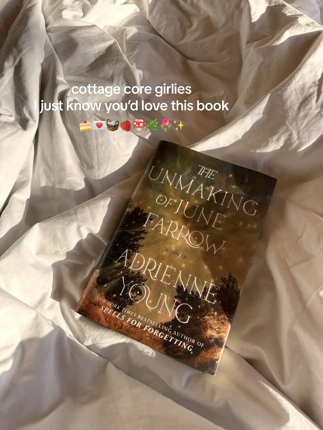 & potentially the most unique read, i’ve ever read. I cannot recommend going into this blind more. the sweetest romance & the mystery kept me guessing until the end 💐  #BookTok #theunmakingofjunefarrow #bookrecommendations #bookworm 