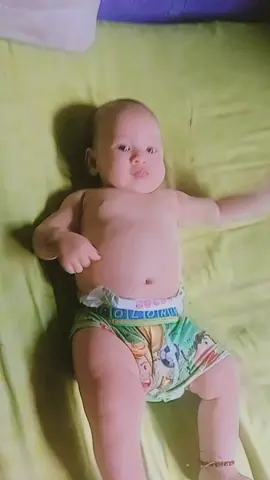 soy un gordito bonito