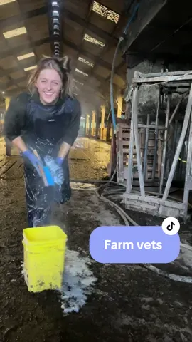 Rub a dub dub 🧼🫧#farmlife #agrilife #vet #farming #dairy #britishhumour 