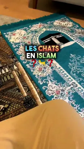 Vous avez un chat, ou vous aimez les chats, alors écoutez ce hadith est pour vous🐈❤️. L'importance des chats en Islam ❓ . . . #allah #allahuakbar #muhammad #islam #islamaveczaid #Ramadan #musulman #islamrappel #hadith #chats #chat #pourtoi #foi 