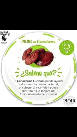 Información al 0989727975 escríbeme ... y te ayudo con gusto amig@s.
