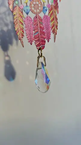 #dreamcatcher 