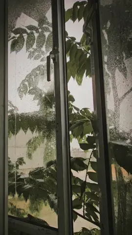 #CapCut #dido #thankyou #rain #sad #vibes 