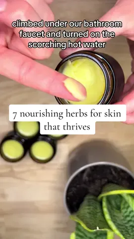 Belle Balm contains 7 herbs that provide the optimum environment for your skin to thrive!   #herbal #herbalbalm #organicskincare #organic #tallowtok #tallowskincare 